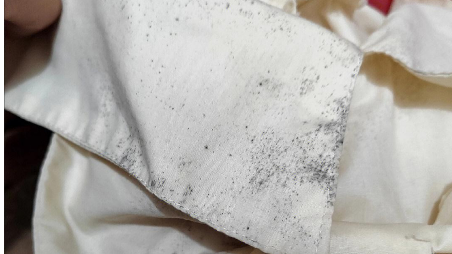 Mildew Stains professional teatment in laundry shops